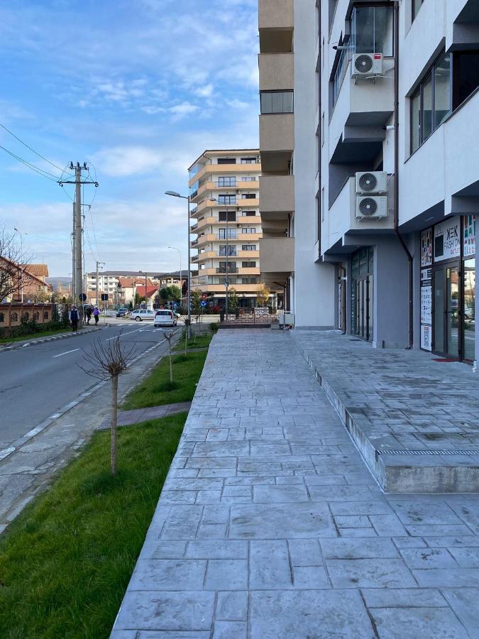 Apartament David Râmnicu Vâlcea Exterior foto